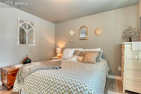 Tiny photo for 24 Big Horn Circle, Florissant, CO 80816 (MLS # 4124452)