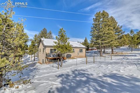 Tiny photo for 24 Big Horn Circle, Florissant, CO 80816 (MLS # 4124452)