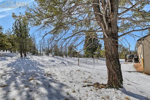 Tiny photo for 24 Big Horn Circle, Florissant, CO 80816 (MLS # 4124452)
