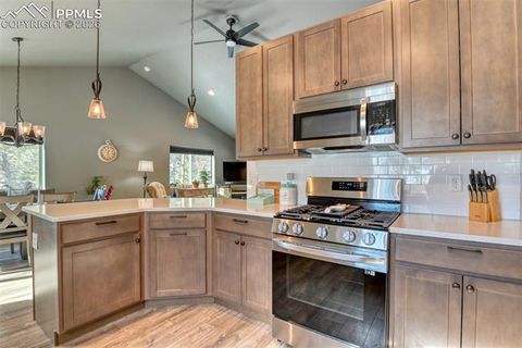 Tiny photo for 24 Big Horn Circle, Florissant, CO 80816 (MLS # 4124452)