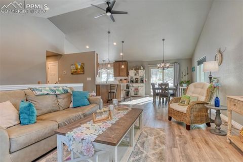 Tiny photo for 24 Big Horn Circle, Florissant, CO 80816 (MLS # 4124452)