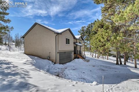 Tiny photo for 24 Big Horn Circle, Florissant, CO 80816 (MLS # 4124452)