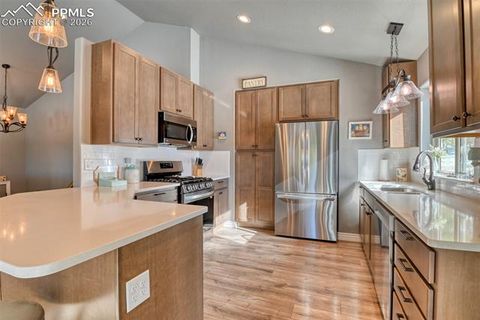 Tiny photo for 24 Big Horn Circle, Florissant, CO 80816 (MLS # 4124452)