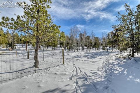 Tiny photo for 24 Big Horn Circle, Florissant, CO 80816 (MLS # 4124452)