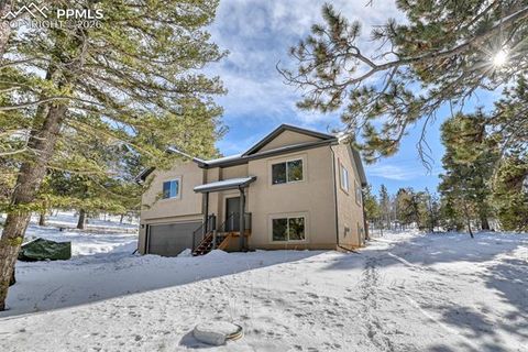 Tiny photo for 24 Big Horn Circle, Florissant, CO 80816 (MLS # 4124452)