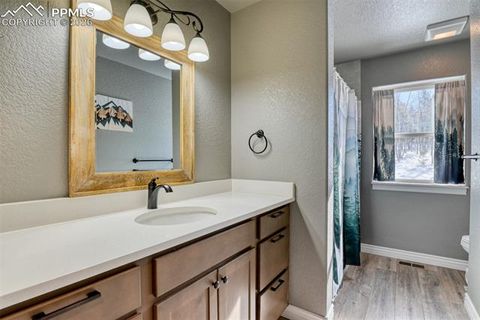 Tiny photo for 24 Big Horn Circle, Florissant, CO 80816 (MLS # 4124452)