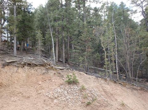 Photo of 620 Wakanda Trail, Woodland Park, CO 80863 (MLS # 4710042)