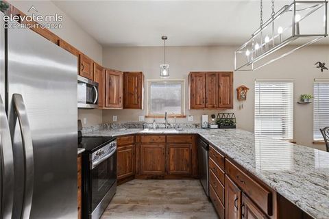Tiny photo for 1113 Browning Avenue, Woodland Park, CO 80863 (MLS # 9324949)