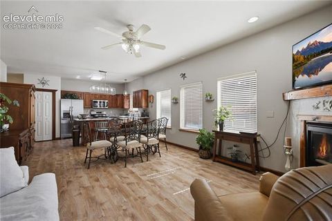 Tiny photo for 1113 Browning Avenue, Woodland Park, CO 80863 (MLS # 9324949)