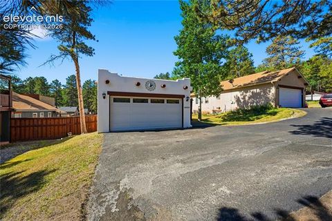 Tiny photo for 1113 Browning Avenue, Woodland Park, CO 80863 (MLS # 9324949)