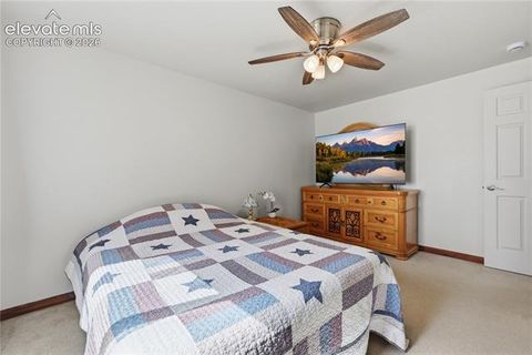 Tiny photo for 1113 Browning Avenue, Woodland Park, CO 80863 (MLS # 9324949)