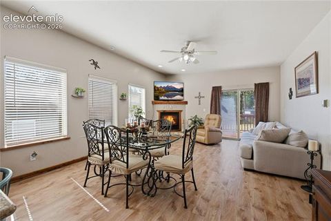 Tiny photo for 1113 Browning Avenue, Woodland Park, CO 80863 (MLS # 9324949)