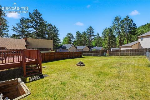 Tiny photo for 1113 Browning Avenue, Woodland Park, CO 80863 (MLS # 9324949)