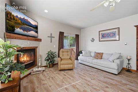 Tiny photo for 1113 Browning Avenue, Woodland Park, CO 80863 (MLS # 9324949)