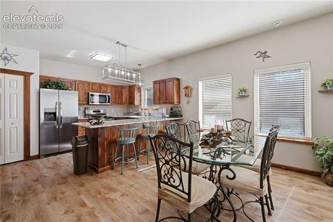 Tiny photo for 1113 Browning Avenue, Woodland Park, CO 80863 (MLS # 9324949)