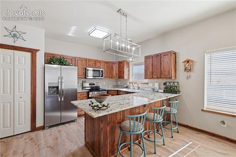 Tiny photo for 1113 Browning Avenue, Woodland Park, CO 80863 (MLS # 9324949)