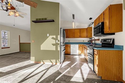 Tiny photo for 315 E Gunnison Avenue, Woodland Park, CO 80863 (MLS # 2173182)