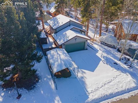 Tiny photo for 315 E Gunnison Avenue, Woodland Park, CO 80863 (MLS # 2173182)