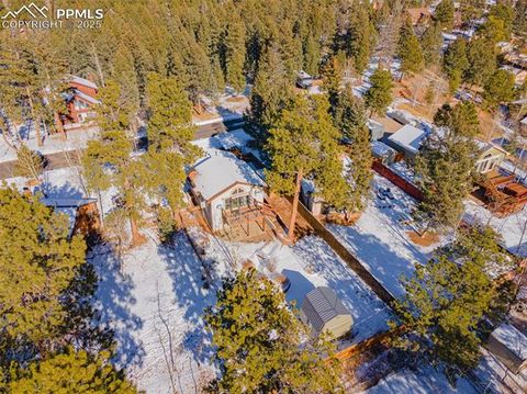 Tiny photo for 315 E Gunnison Avenue, Woodland Park, CO 80863 (MLS # 2173182)