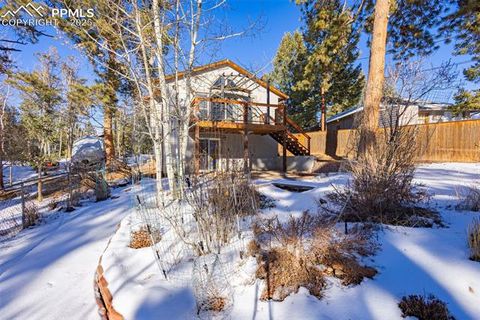 Tiny photo for 315 E Gunnison Avenue, Woodland Park, CO 80863 (MLS # 2173182)