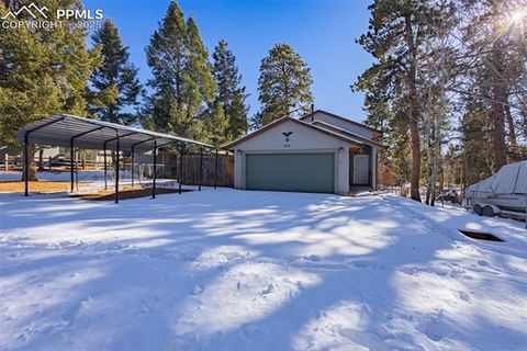 Photo of 315 E Gunnison Avenue, Woodland Park, CO 80863 (MLS # 2173182)