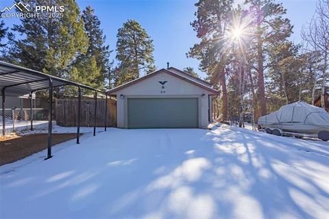 Tiny photo for 315 E Gunnison Avenue, Woodland Park, CO 80863 (MLS # 2173182)