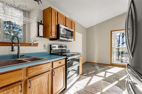 Tiny photo for 315 E Gunnison Avenue, Woodland Park, CO 80863 (MLS # 2173182)