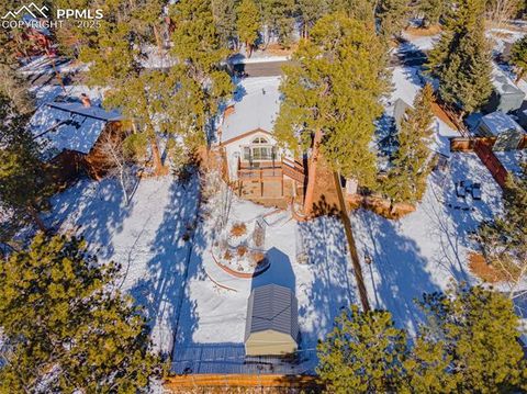 Tiny photo for 315 E Gunnison Avenue, Woodland Park, CO 80863 (MLS # 2173182)