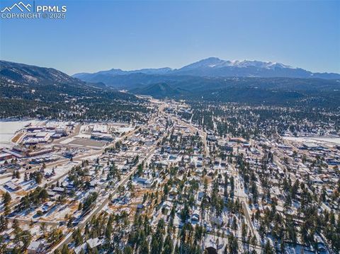 Tiny photo for 315 E Gunnison Avenue, Woodland Park, CO 80863 (MLS # 2173182)