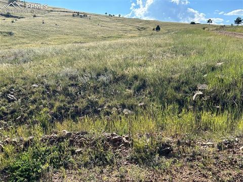 Photo of 12 Shideler Street, Cripple Creek, CO 80813 (MLS # 9501043)