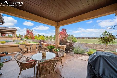 Tiny photo for 12988 Cupcake Heights, Colorado Springs, CO 80921 (MLS # 5846674)