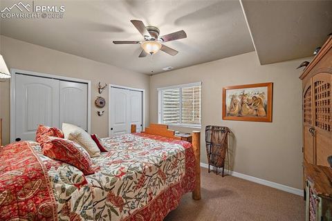 Tiny photo for 12988 Cupcake Heights, Colorado Springs, CO 80921 (MLS # 5846674)