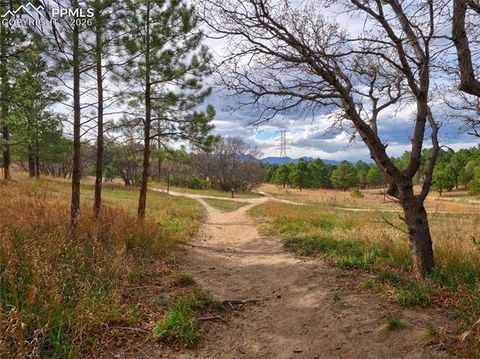 Tiny photo for 3465 Rebecca Lane #F, Colorado Springs, CO 80917 (MLS # 4414533)