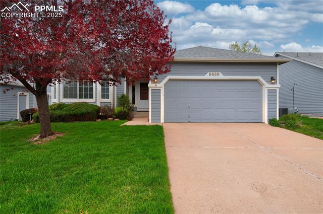 6689 Showhorse Court