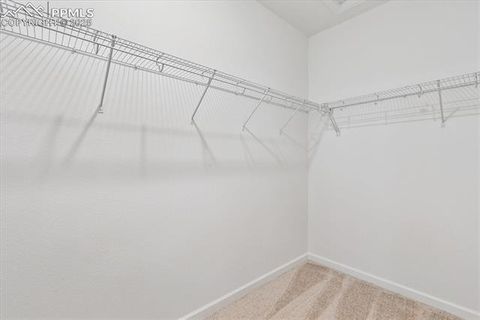 Tiny photo for 2432 Serviceberry Grove, Colorado Springs, CO 80915 (MLS # 8669400)