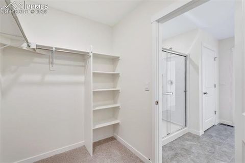 Tiny photo for 11734 Foraker Lane, Colorado Springs, CO 80925 (MLS # 7600147)