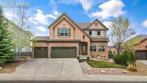 Photo of 773 Sally Hill Court, Monument, CO 80132 (MLS # 1007035)