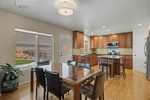 Tiny photo for 9416 Wolf Pack Terrace, Colorado Springs, CO 80920 (MLS # 6172323)