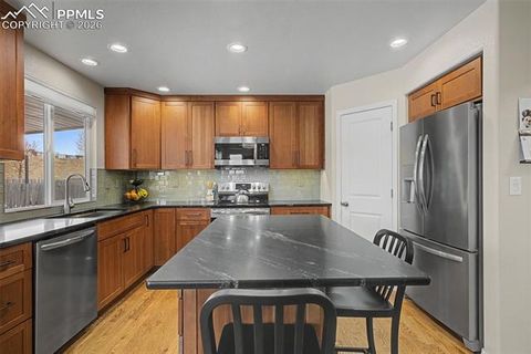 Tiny photo for 9416 Wolf Pack Terrace, Colorado Springs, CO 80920 (MLS # 6172323)