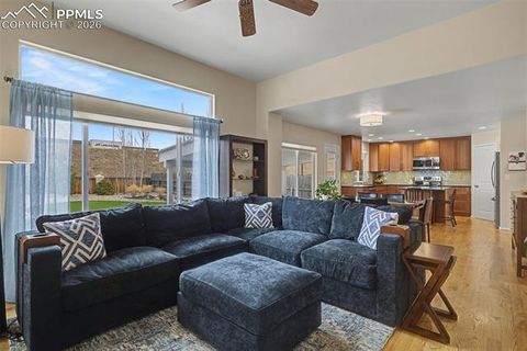 Tiny photo for 9416 Wolf Pack Terrace, Colorado Springs, CO 80920 (MLS # 6172323)