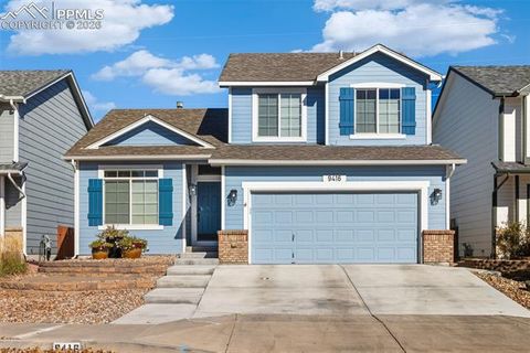Photo of 9416 Wolf Pack Terrace, Colorado Springs, CO 80920 (MLS # 6172323)