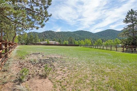 Tiny photo for 2120 Lee Circle Drive, Woodland Park, CO 80863 (MLS # 3051716)