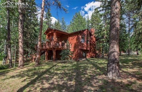 3415 Regent Drive Woodland Park CO 80863