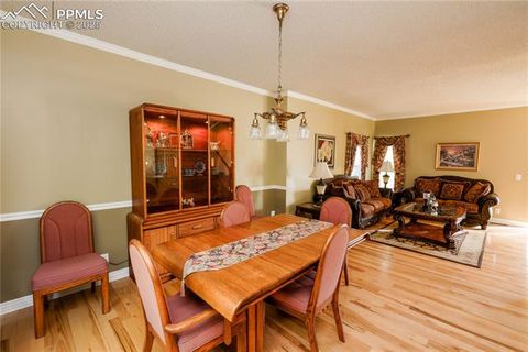 Tiny photo for 5440 Setters Way, Colorado Springs, CO 80919 (MLS # 9923078)