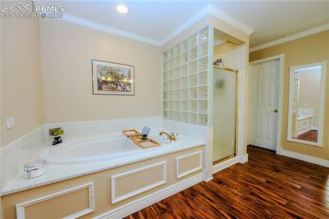 Tiny photo for 5440 Setters Way, Colorado Springs, CO 80919 (MLS # 9923078)
