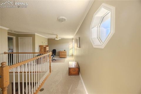 Tiny photo for 5440 Setters Way, Colorado Springs, CO 80919 (MLS # 9923078)