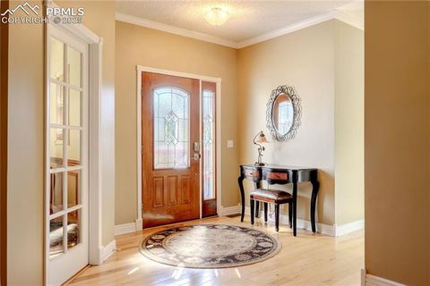 Tiny photo for 5440 Setters Way, Colorado Springs, CO 80919 (MLS # 9923078)