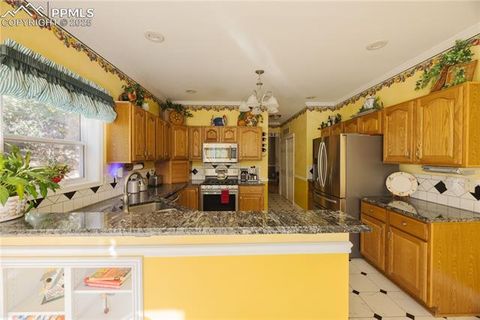 Tiny photo for 5440 Setters Way, Colorado Springs, CO 80919 (MLS # 9923078)