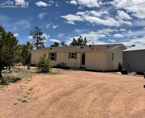 696 Calle De La Nieva Florissant CO 80816