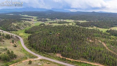 Tiny photo for 351 Porphry Road, Florissant, CO 80816 (MLS # 5053190)